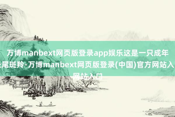 万博manbext网页版登录app娱乐这是一只成年长尾斑羚-万博manbext网页版登录(中国)官方网站入口