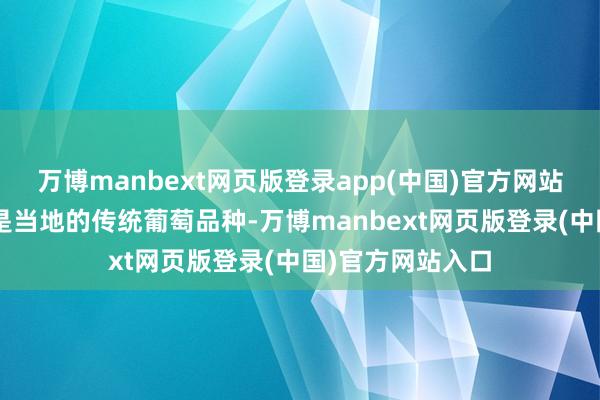 万博manbext网页版登录app(中国)官方网站“无核白”一直是当地的传统葡萄品种-万博manbext网页版登录(中国)官方网站入口