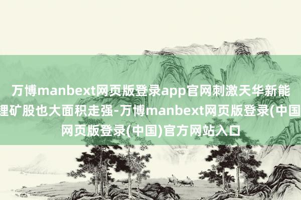 万博manbext网页版登录app官网刺激天华新能、盛新锂能等锂矿股也大面积走强-万博manbext网页版登录(中国)官方网站入口