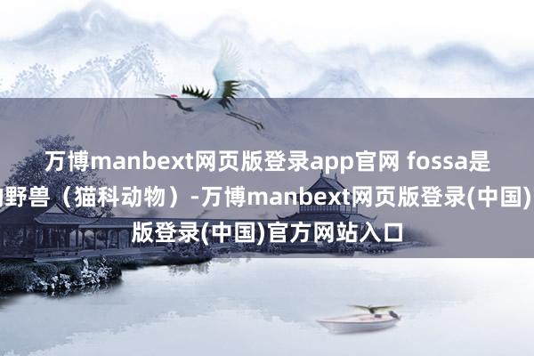 万博manbext网页版登录app官网 fossa是岛屿上最大的野兽（猫科动物）-万博manbext网页版登录(中国)官方网站入口